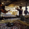 Paul Nevin Rajasthan Photo Hand-made paper manufacture